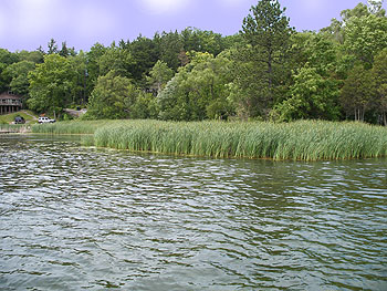 Twin Lakes, WI