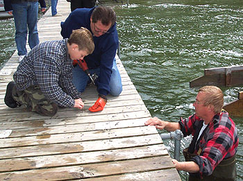 Pier Removal 2003