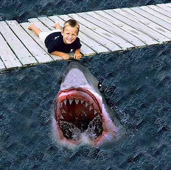 Shark Attacks Pictures